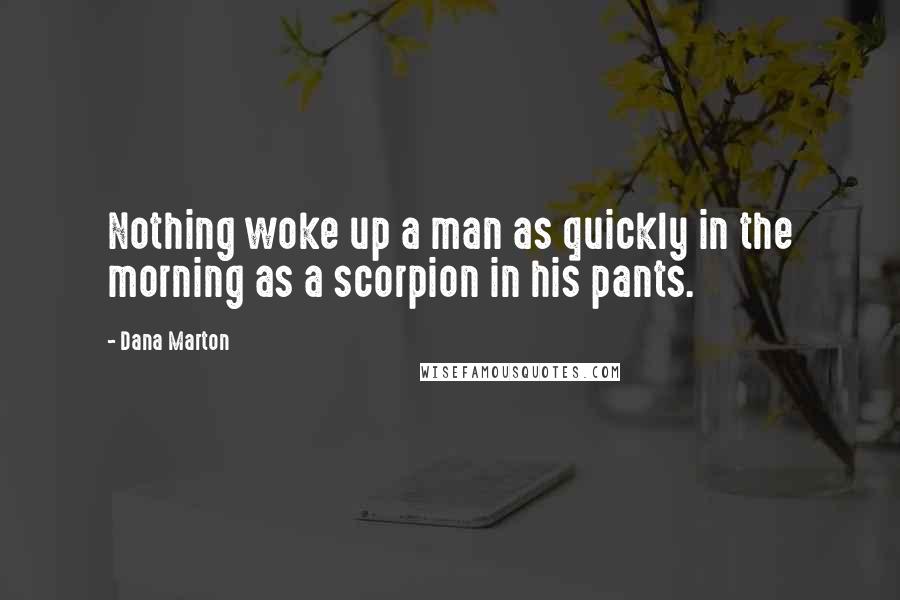 Dana Marton Quotes: Nothing woke up a man as quickly in the morning as a scorpion in his pants.