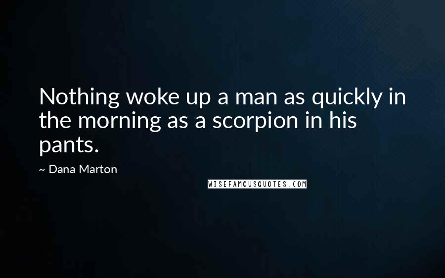 Dana Marton Quotes: Nothing woke up a man as quickly in the morning as a scorpion in his pants.