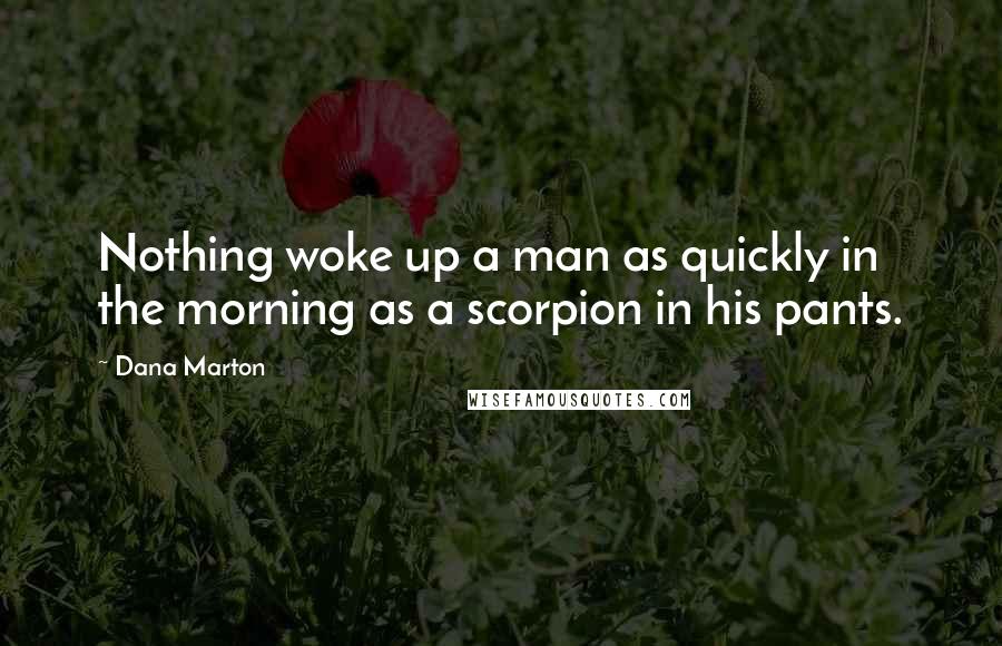 Dana Marton Quotes: Nothing woke up a man as quickly in the morning as a scorpion in his pants.