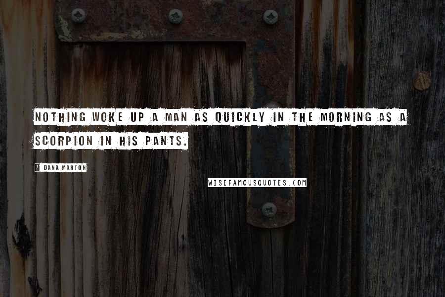 Dana Marton Quotes: Nothing woke up a man as quickly in the morning as a scorpion in his pants.