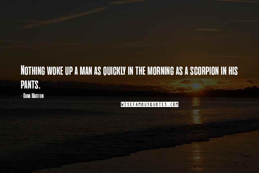 Dana Marton Quotes: Nothing woke up a man as quickly in the morning as a scorpion in his pants.