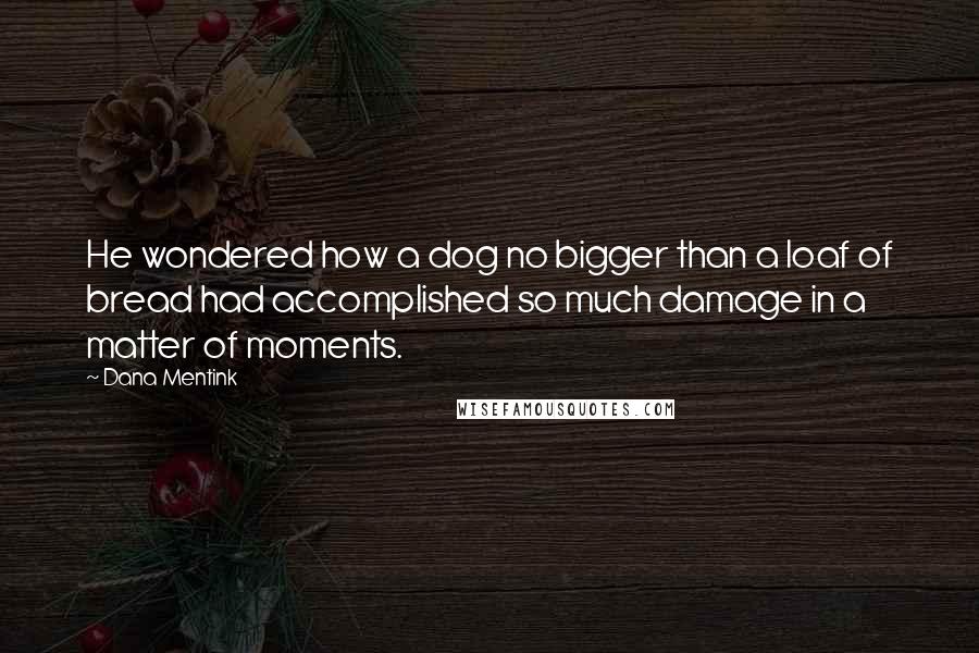 Dana Mentink Quotes: He wondered how a dog no bigger than a loaf of bread had accomplished so much damage in a matter of moments.