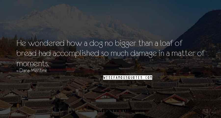 Dana Mentink Quotes: He wondered how a dog no bigger than a loaf of bread had accomplished so much damage in a matter of moments.