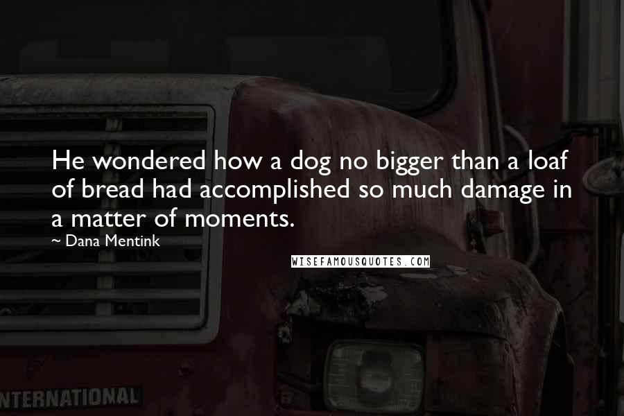 Dana Mentink Quotes: He wondered how a dog no bigger than a loaf of bread had accomplished so much damage in a matter of moments.