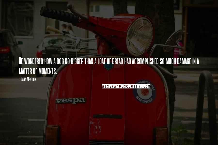 Dana Mentink Quotes: He wondered how a dog no bigger than a loaf of bread had accomplished so much damage in a matter of moments.