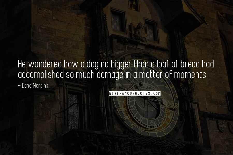 Dana Mentink Quotes: He wondered how a dog no bigger than a loaf of bread had accomplished so much damage in a matter of moments.