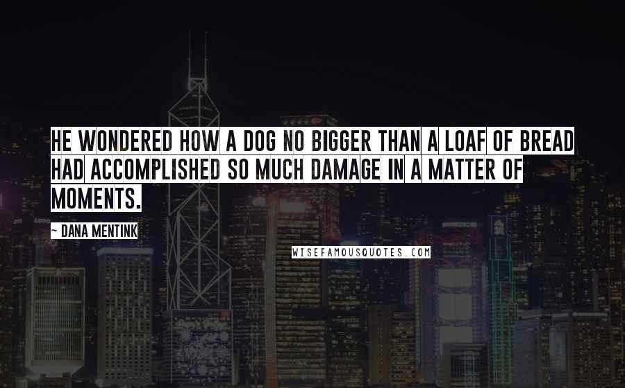 Dana Mentink Quotes: He wondered how a dog no bigger than a loaf of bread had accomplished so much damage in a matter of moments.