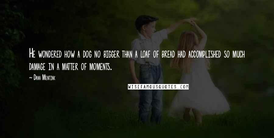 Dana Mentink Quotes: He wondered how a dog no bigger than a loaf of bread had accomplished so much damage in a matter of moments.