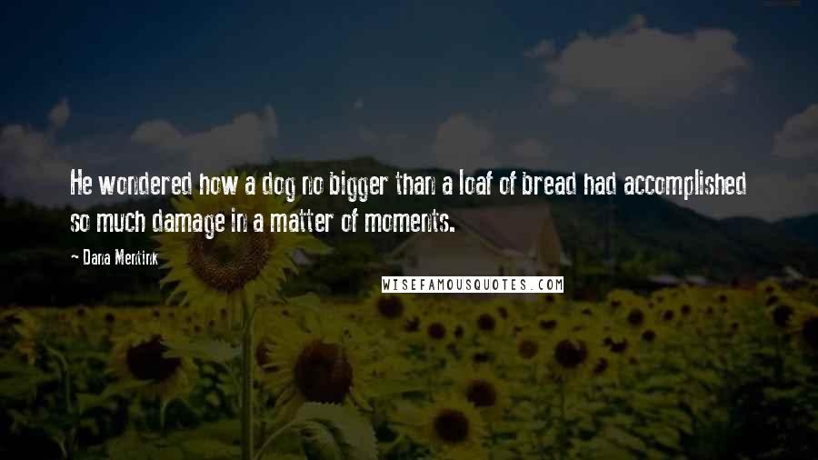 Dana Mentink Quotes: He wondered how a dog no bigger than a loaf of bread had accomplished so much damage in a matter of moments.