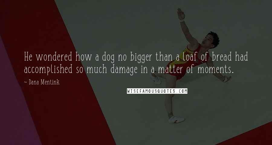 Dana Mentink Quotes: He wondered how a dog no bigger than a loaf of bread had accomplished so much damage in a matter of moments.