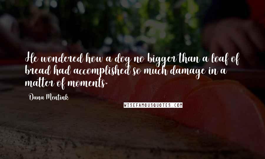 Dana Mentink Quotes: He wondered how a dog no bigger than a loaf of bread had accomplished so much damage in a matter of moments.