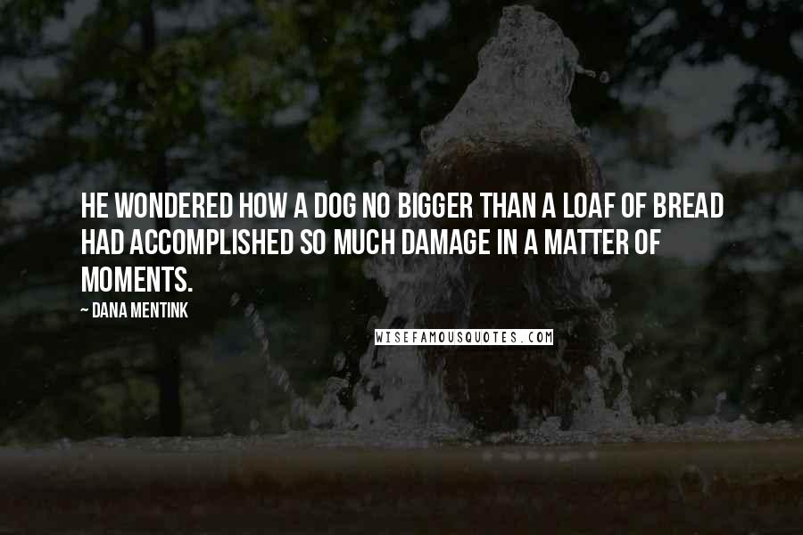 Dana Mentink Quotes: He wondered how a dog no bigger than a loaf of bread had accomplished so much damage in a matter of moments.