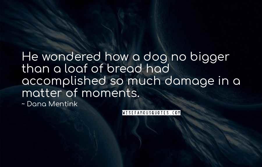 Dana Mentink Quotes: He wondered how a dog no bigger than a loaf of bread had accomplished so much damage in a matter of moments.