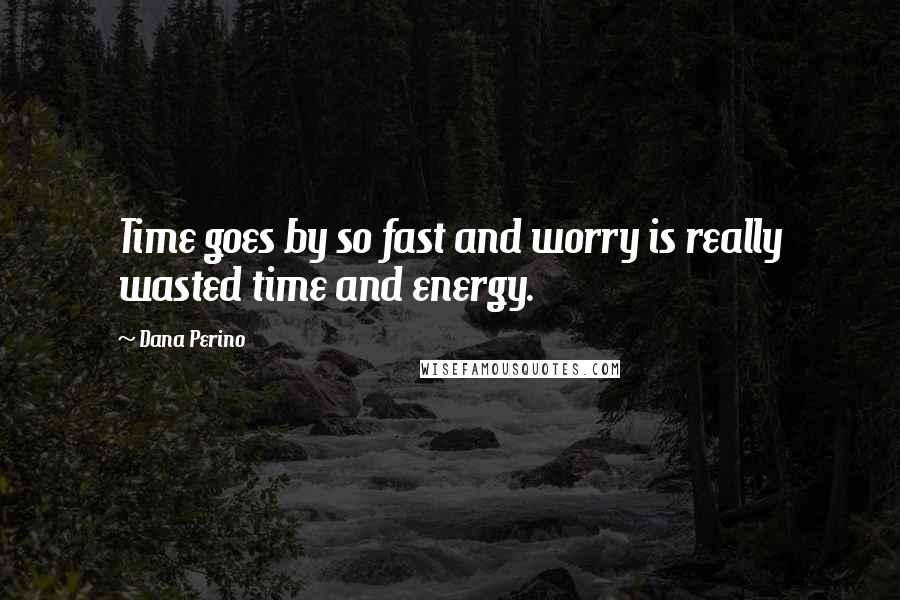 Dana Perino Quotes: Time goes by so fast and worry is really wasted time and energy.