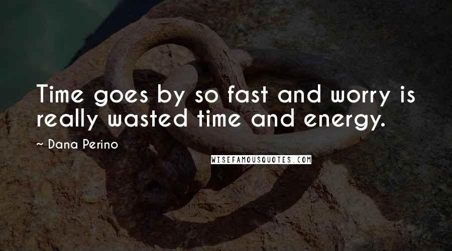 Dana Perino Quotes: Time goes by so fast and worry is really wasted time and energy.