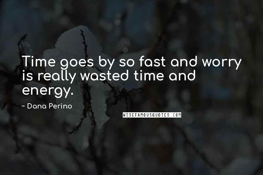 Dana Perino Quotes: Time goes by so fast and worry is really wasted time and energy.