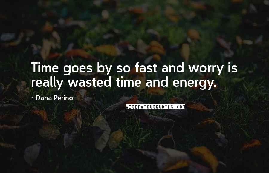 Dana Perino Quotes: Time goes by so fast and worry is really wasted time and energy.