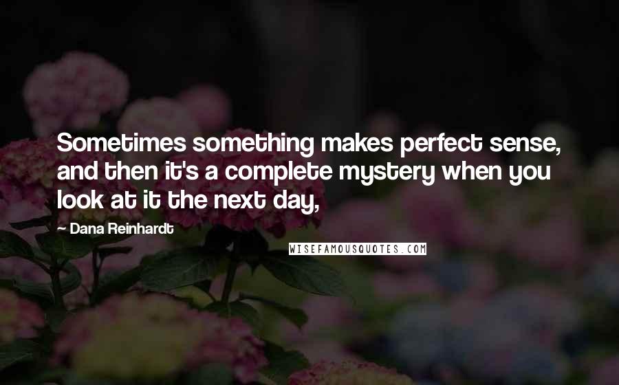 Dana Reinhardt Quotes: Sometimes something makes perfect sense, and then it's a complete mystery when you look at it the next day,