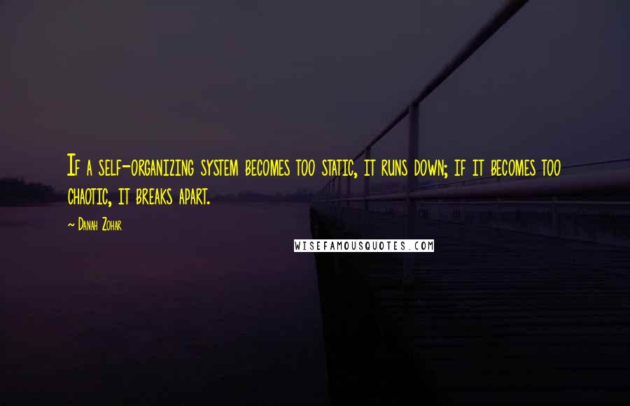 Danah Zohar Quotes: If a self-organizing system becomes too static, it runs down; if it becomes too chaotic, it breaks apart.