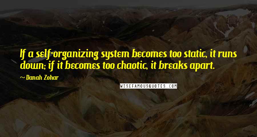 Danah Zohar Quotes: If a self-organizing system becomes too static, it runs down; if it becomes too chaotic, it breaks apart.