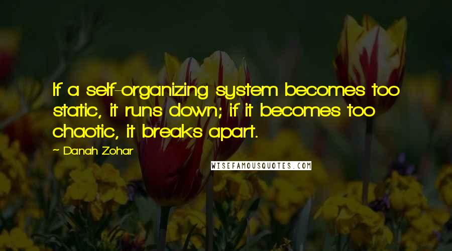 Danah Zohar Quotes: If a self-organizing system becomes too static, it runs down; if it becomes too chaotic, it breaks apart.