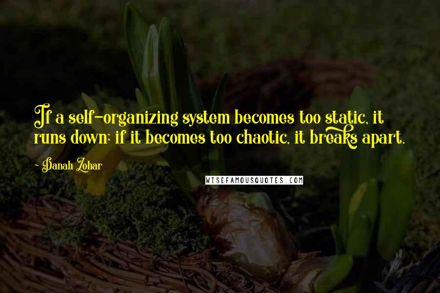 Danah Zohar Quotes: If a self-organizing system becomes too static, it runs down; if it becomes too chaotic, it breaks apart.