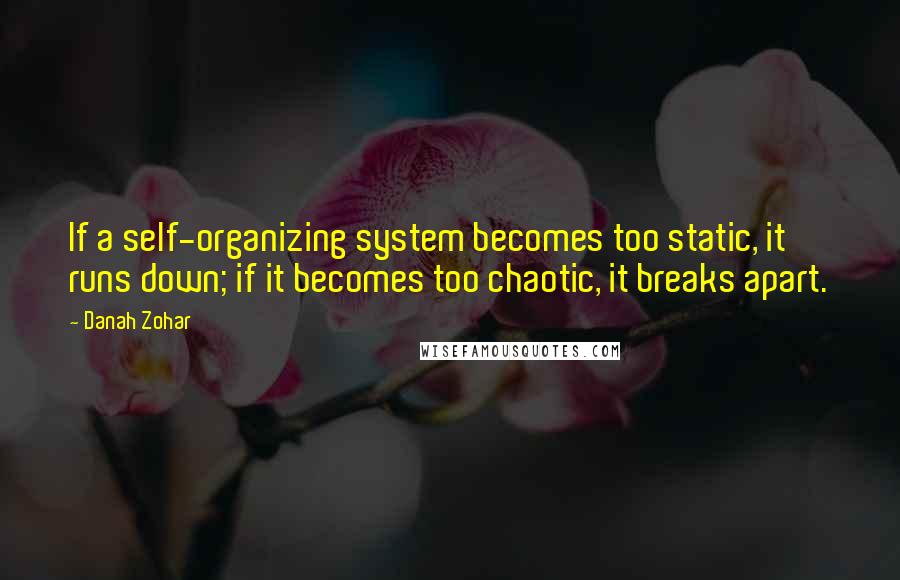 Danah Zohar Quotes: If a self-organizing system becomes too static, it runs down; if it becomes too chaotic, it breaks apart.