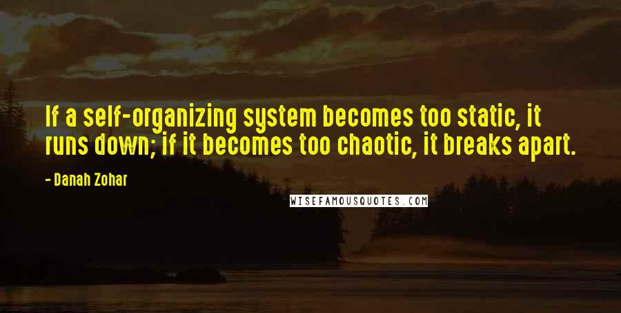 Danah Zohar Quotes: If a self-organizing system becomes too static, it runs down; if it becomes too chaotic, it breaks apart.