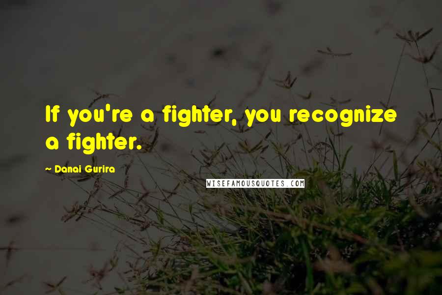 Danai Gurira Quotes: If you're a fighter, you recognize a fighter.