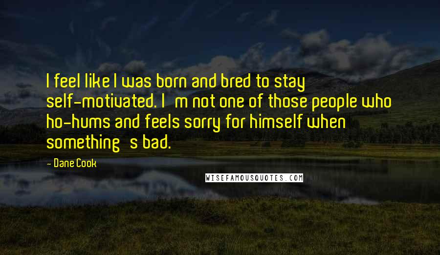 Dane Cook Quotes: I feel like I was born and bred to stay self-motivated. I'm not one of those people who ho-hums and feels sorry for himself when something's bad.