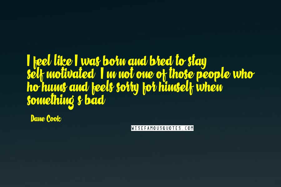 Dane Cook Quotes: I feel like I was born and bred to stay self-motivated. I'm not one of those people who ho-hums and feels sorry for himself when something's bad.