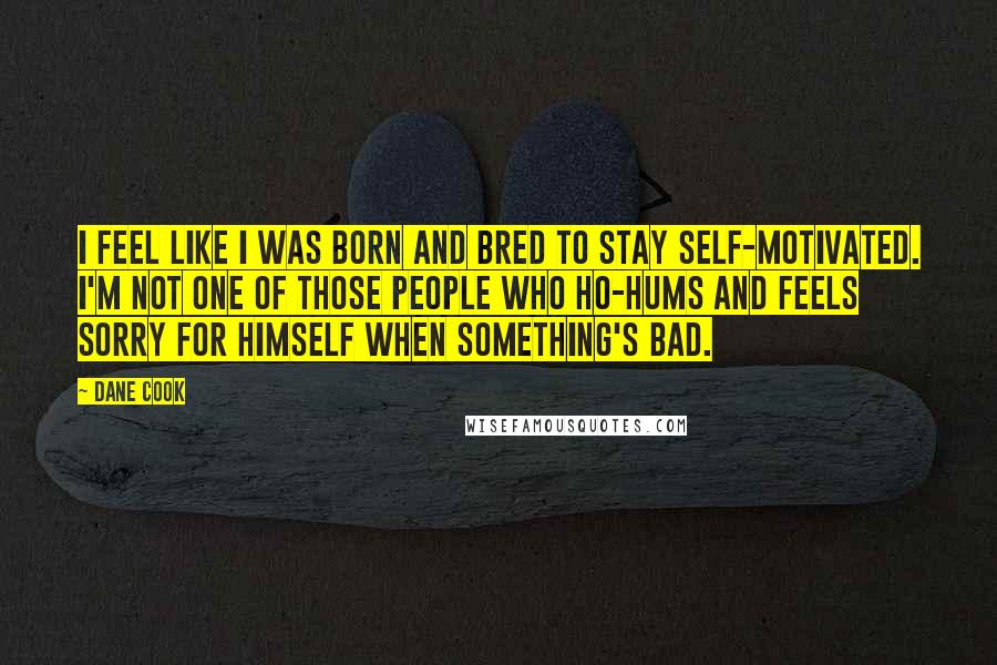 Dane Cook Quotes: I feel like I was born and bred to stay self-motivated. I'm not one of those people who ho-hums and feels sorry for himself when something's bad.