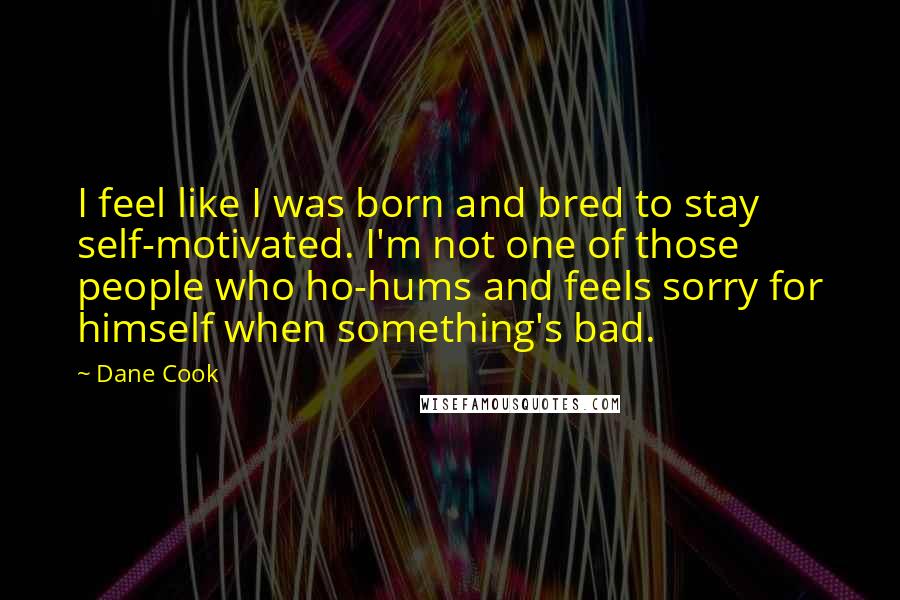 Dane Cook Quotes: I feel like I was born and bred to stay self-motivated. I'm not one of those people who ho-hums and feels sorry for himself when something's bad.