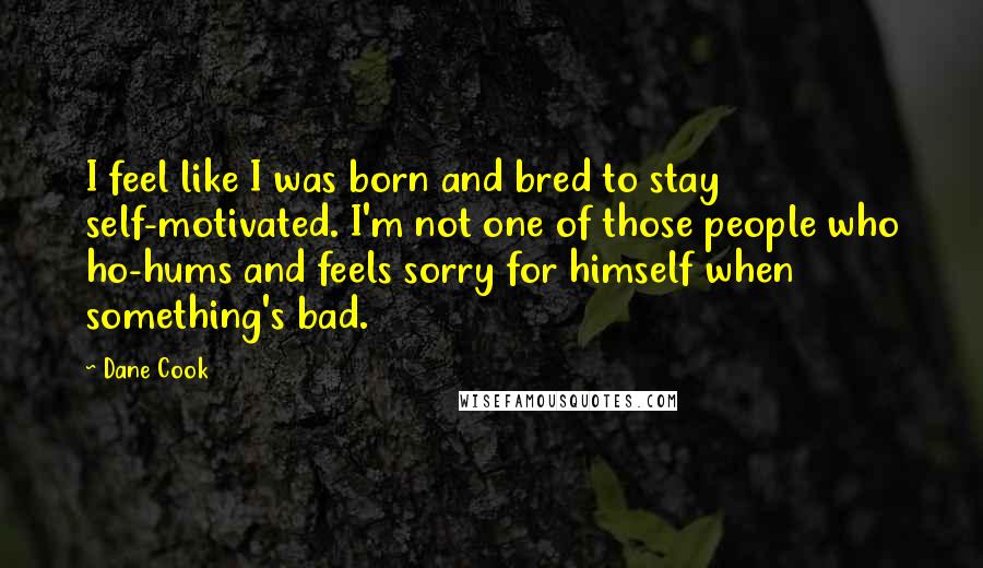 Dane Cook Quotes: I feel like I was born and bred to stay self-motivated. I'm not one of those people who ho-hums and feels sorry for himself when something's bad.