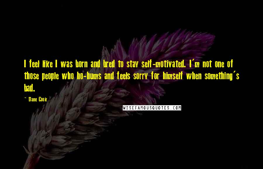 Dane Cook Quotes: I feel like I was born and bred to stay self-motivated. I'm not one of those people who ho-hums and feels sorry for himself when something's bad.