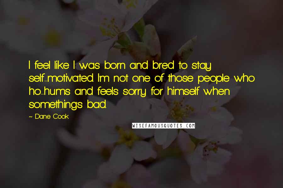 Dane Cook Quotes: I feel like I was born and bred to stay self-motivated. I'm not one of those people who ho-hums and feels sorry for himself when something's bad.