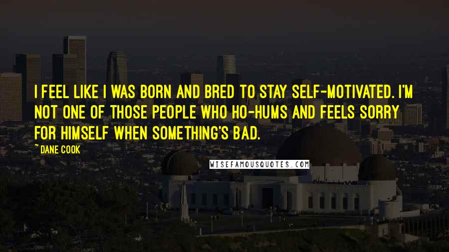 Dane Cook Quotes: I feel like I was born and bred to stay self-motivated. I'm not one of those people who ho-hums and feels sorry for himself when something's bad.