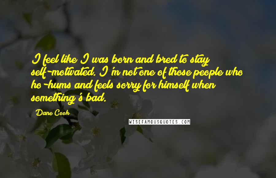 Dane Cook Quotes: I feel like I was born and bred to stay self-motivated. I'm not one of those people who ho-hums and feels sorry for himself when something's bad.