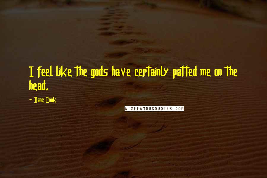 Dane Cook Quotes: I feel like the gods have certainly patted me on the head.