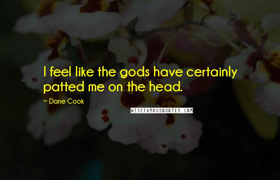 Dane Cook Quotes: I feel like the gods have certainly patted me on the head.