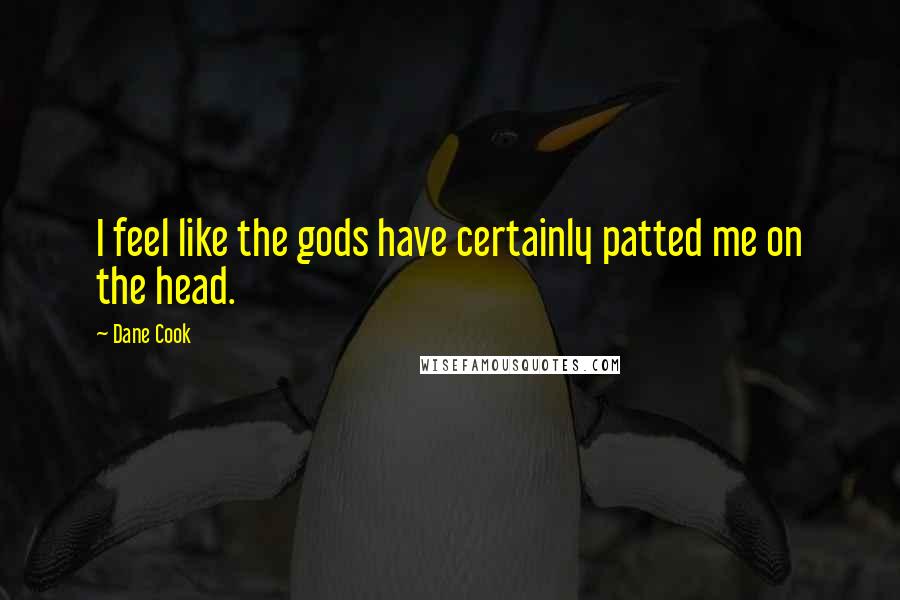 Dane Cook Quotes: I feel like the gods have certainly patted me on the head.