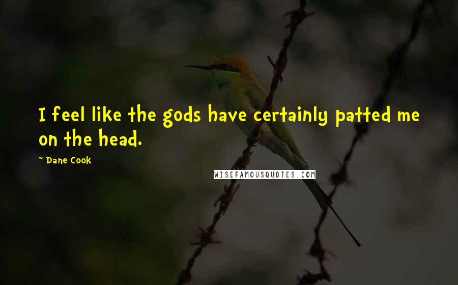 Dane Cook Quotes: I feel like the gods have certainly patted me on the head.