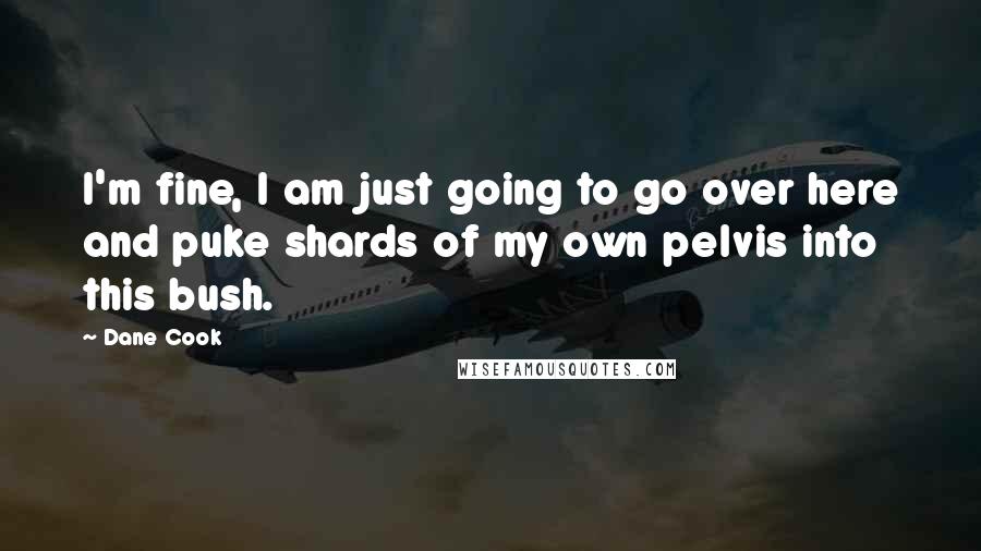 Dane Cook Quotes: I'm fine, I am just going to go over here and puke shards of my own pelvis into this bush.