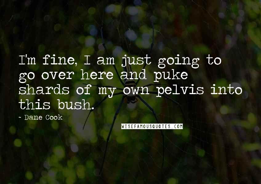 Dane Cook Quotes: I'm fine, I am just going to go over here and puke shards of my own pelvis into this bush.