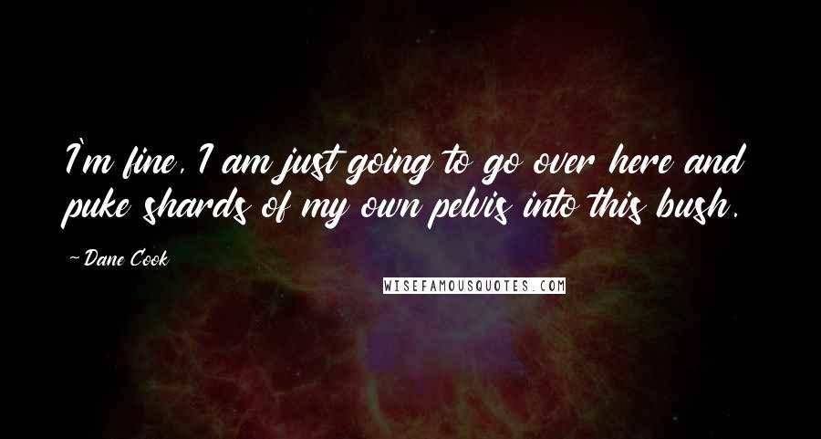 Dane Cook Quotes: I'm fine, I am just going to go over here and puke shards of my own pelvis into this bush.