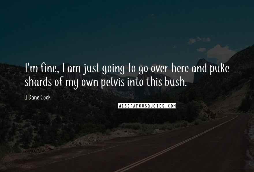 Dane Cook Quotes: I'm fine, I am just going to go over here and puke shards of my own pelvis into this bush.