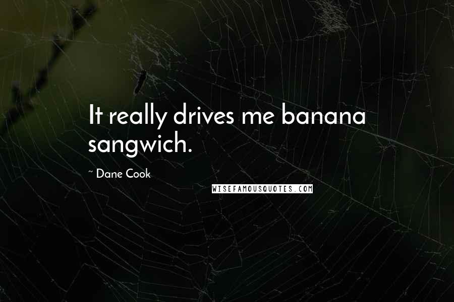 Dane Cook Quotes: It really drives me banana sangwich.