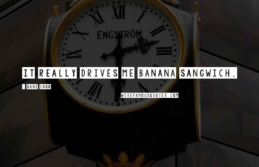 Dane Cook Quotes: It really drives me banana sangwich.
