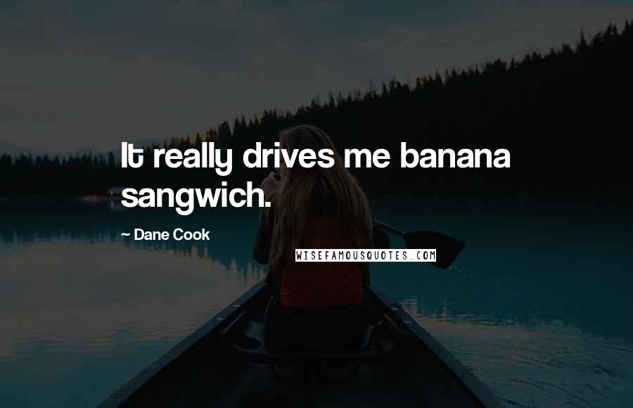 Dane Cook Quotes: It really drives me banana sangwich.