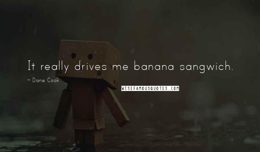 Dane Cook Quotes: It really drives me banana sangwich.